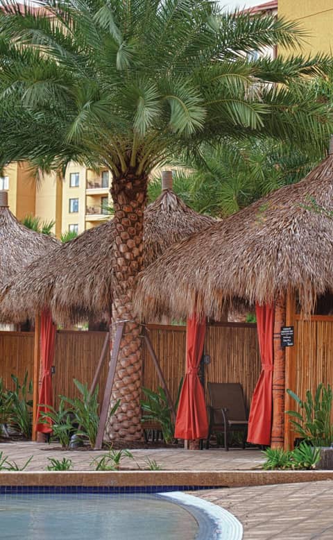 Club Wyndham Bonnet Creek — photo 2