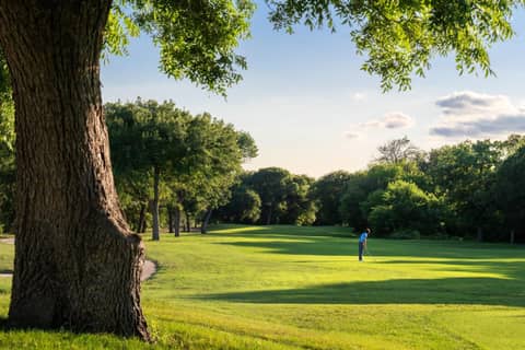 Dallas/Fort Worth Marriott Hotel & Golf Club at Champions Circle — photo 6