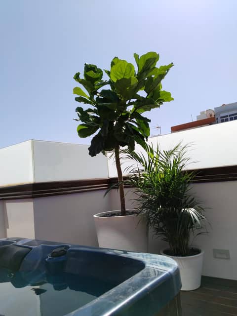 Wavia Hotel - Adults only — roof