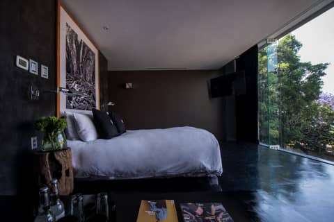 Demetria Hotel — hotel room