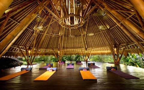 Blue Karma Dijiwa Ubud — photo 4
