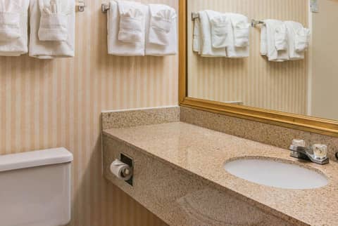 Quality Inn & Suites Detroit Metro Airport — photo 6