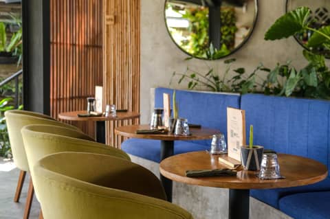 The Elementum — dining