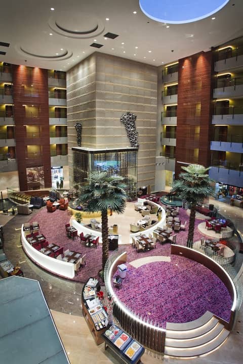 Grand Skylight International Hotel Guanlan — photo 2