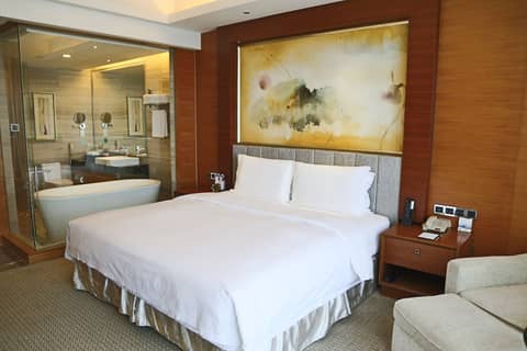 Grand Skylight International Hotel Guanlan — photo 5