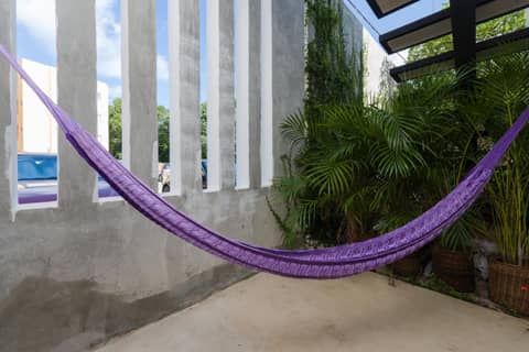 Stay Tropical — photo 5