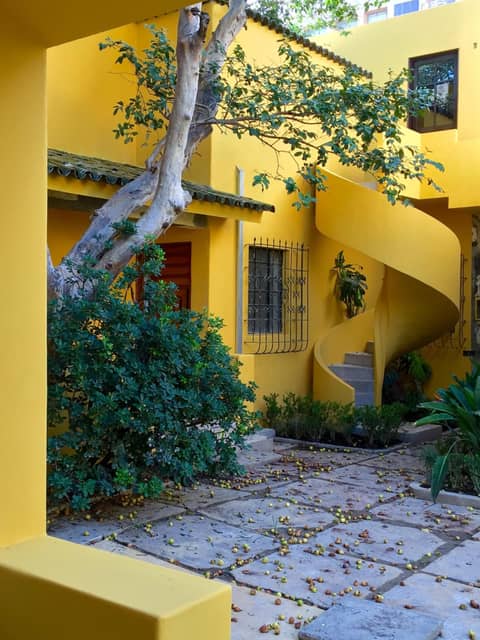 Bungalows Demetria — photo 4