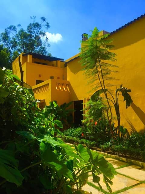 Bungalows Demetria — photo 8