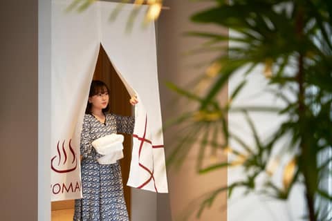 Daiwa Roynet Hotel Sapporo Nakajima Koen — photo 7