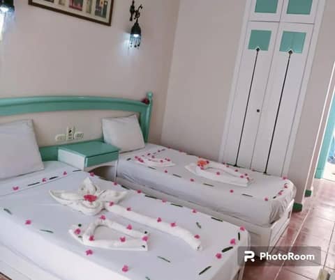 Badawia Sharm Resort — photo 3