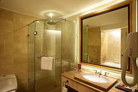 Kartika Chandra — bathroom