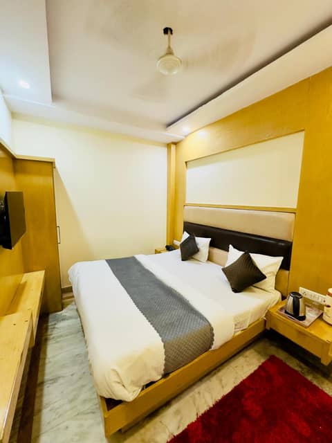 Hotel Bramhaputra Near New Delhi Railway Station — photo 7