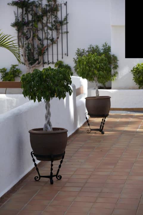 Ona Beverly Hills Suites — balance & terrace