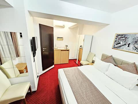 Bucur Accommodation — hotel room