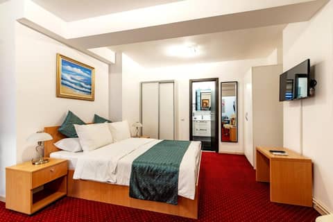 Bucur Accommodation — hotel room