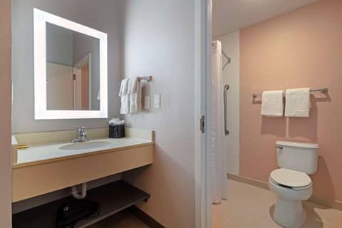 Best Western Plus Fort Worth North — photo 4