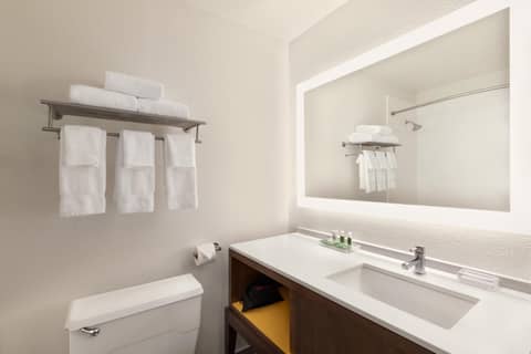 Holiday Inn Houston Intercontinental Airport by IHG — photo 2
