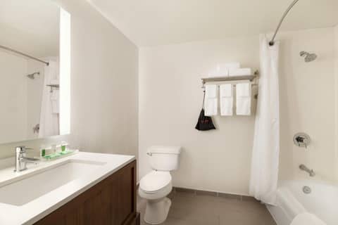 Holiday Inn Houston Intercontinental Airport by IHG — photo 3