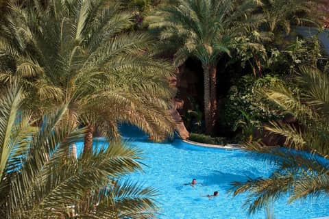 Baron Palms Adults Friendly Only 16 years plus Boutique Hotel Style — photo 3