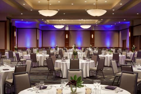 DoubleTree by Hilton Minneapolis Park Place — photo 4