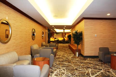 Holiday Inn Denver Lakewood by IHG — photo 6