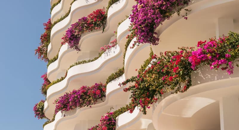 Grand Miramar All Luxury Suites & Residences — building