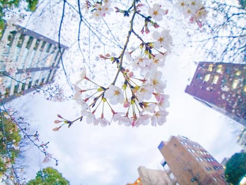 Henn na Hotel Tokyo Ginza — photo 5