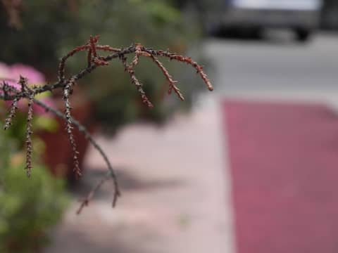 Torreata Hotel & Residence — photo 6