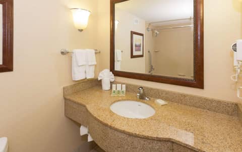 Hilton Garden Inn Buffalo Airport — photo 7