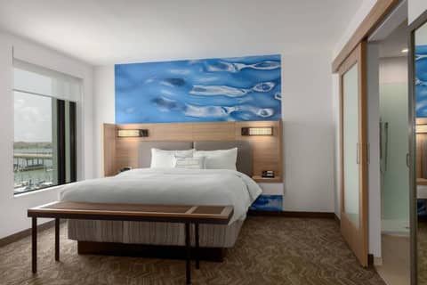 SpringHill Suites by Marriott Bradenton Downtown/Riverfront — photo 8