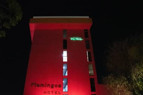 Hotel Flamingos — photo 4
