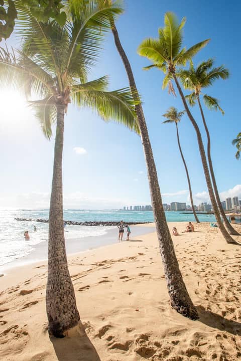 Lotus Honolulu at Diamond Head — beach