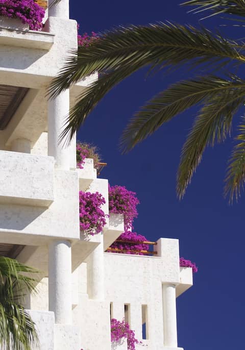 Las Ventanas al Paraiso, A Rosewood Resort — photo 2