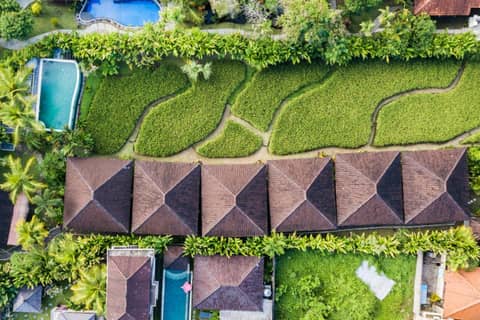 Abipraya Ubud — photo 6