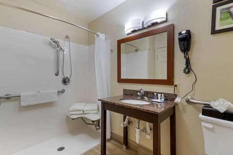 Comfort Inn & Suites Near Six Flags & Medical Center — photo 2