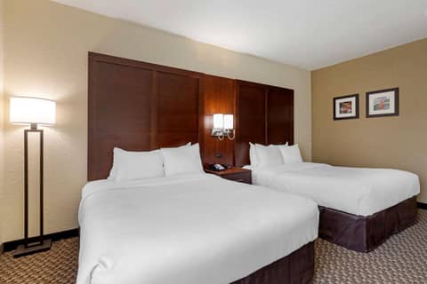 Comfort Inn & Suites Near Six Flags & Medical Center — photo 7