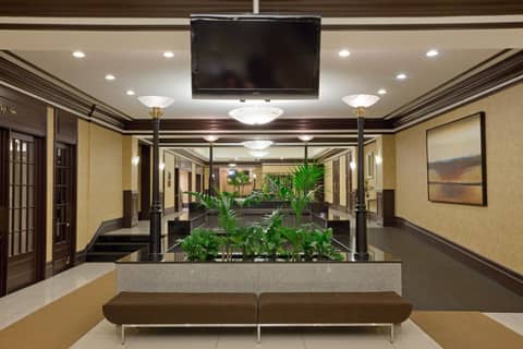 Armon Plaza Montreal Airpt, Trademark Collection by Wyndham — photo 4