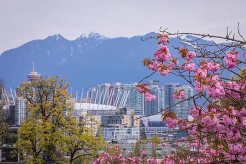 Holiday Inn & Suites Vancouver Downtown by IHG — photo 5