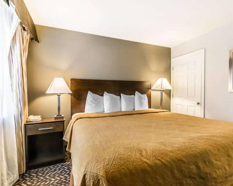 Quality Inn & Suites University-Airport — photo 3