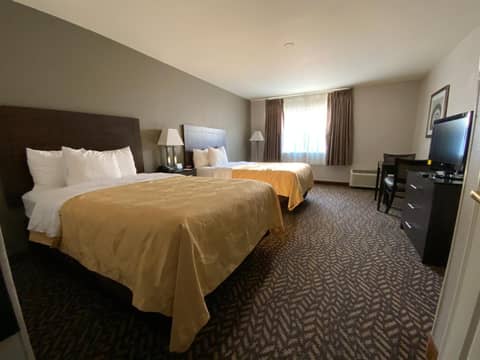 Quality Inn & Suites University-Airport — photo 5