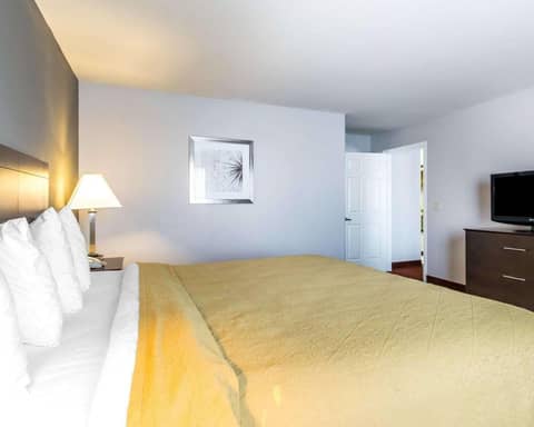 Quality Inn & Suites University-Airport — photo 9
