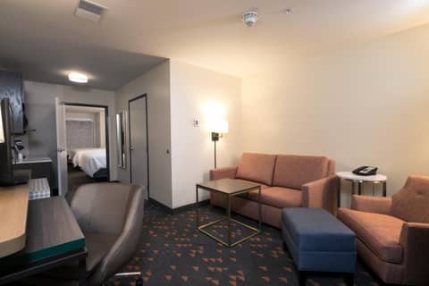 Holiday Inn & Suites Detroit - Troy by IHG — photo 7