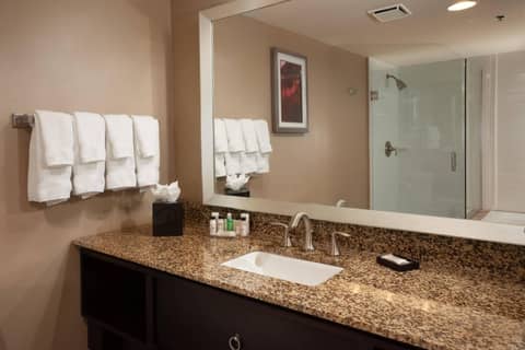 Delta Hotels by Marriott Orlando Lake Buena Vista — photo 9