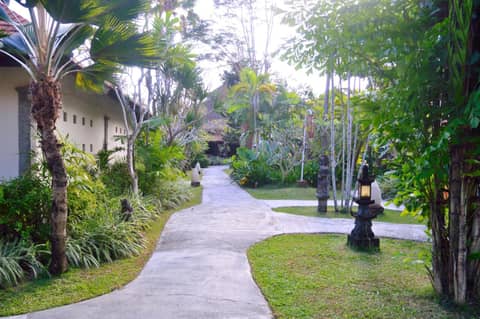 Peneeda View Beach Hotel — photo 5
