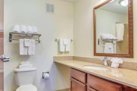 MainStay Suites Texas Medical Center-Reliant Park — bathroom