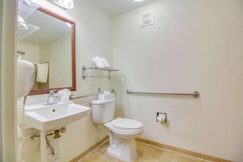 MainStay Suites Texas Medical Center-Reliant Park — bathroom