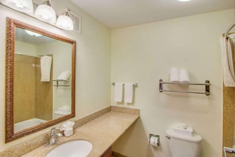 MainStay Suites Texas Medical Center-Reliant Park — bathroom