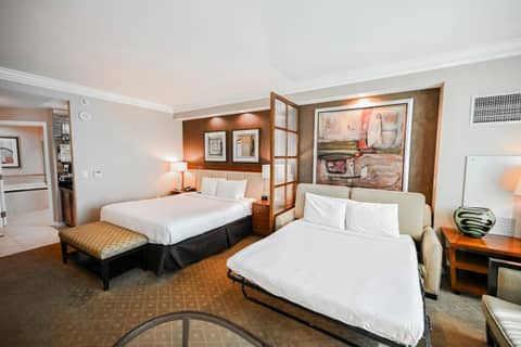 StripViewSuites at Signature — photo 7