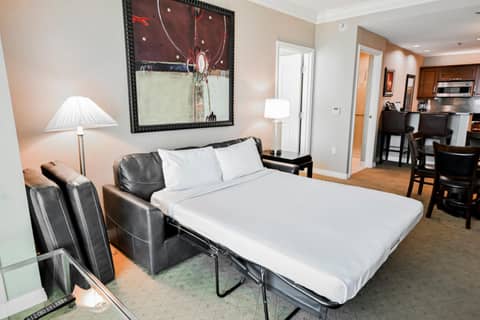 StripViewSuites at Signature — photo 8