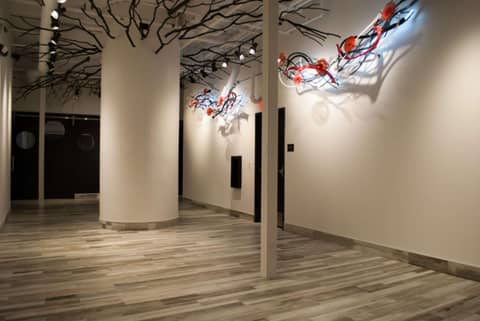 Lorenzo Hotel Dallas, Tapestry Collection by Hilton — photo 5